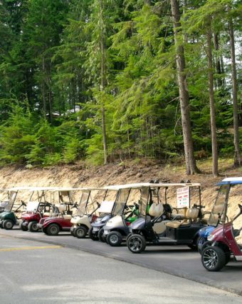 Mabel Lake Golf Cart Community